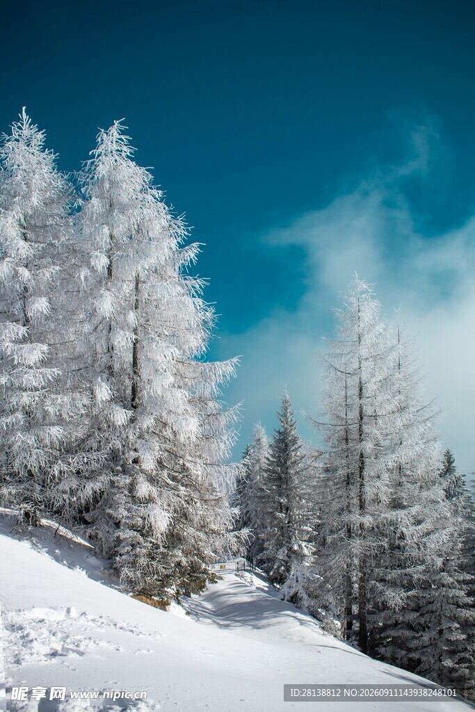 雪覆山林蓝天映衬美景
