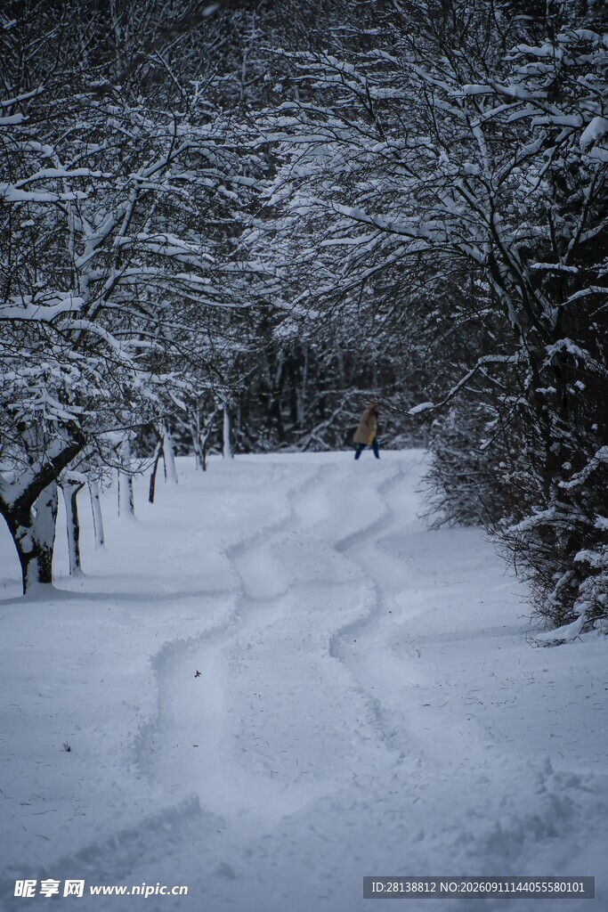 雪覆小径冬日静谧景象