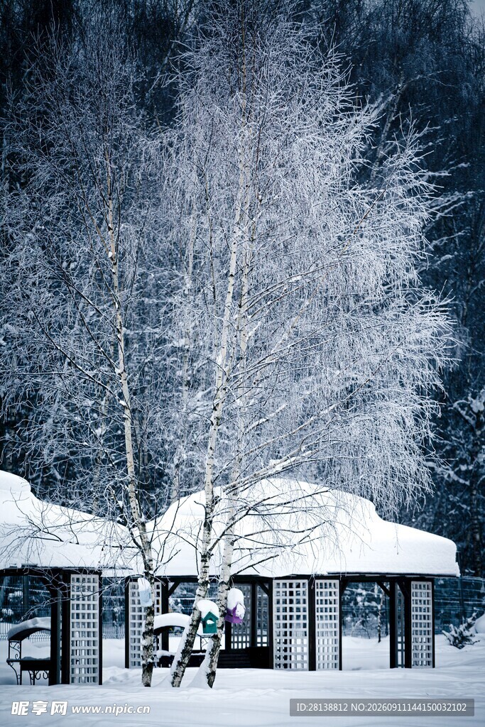 冬日雪景中的静谧小屋