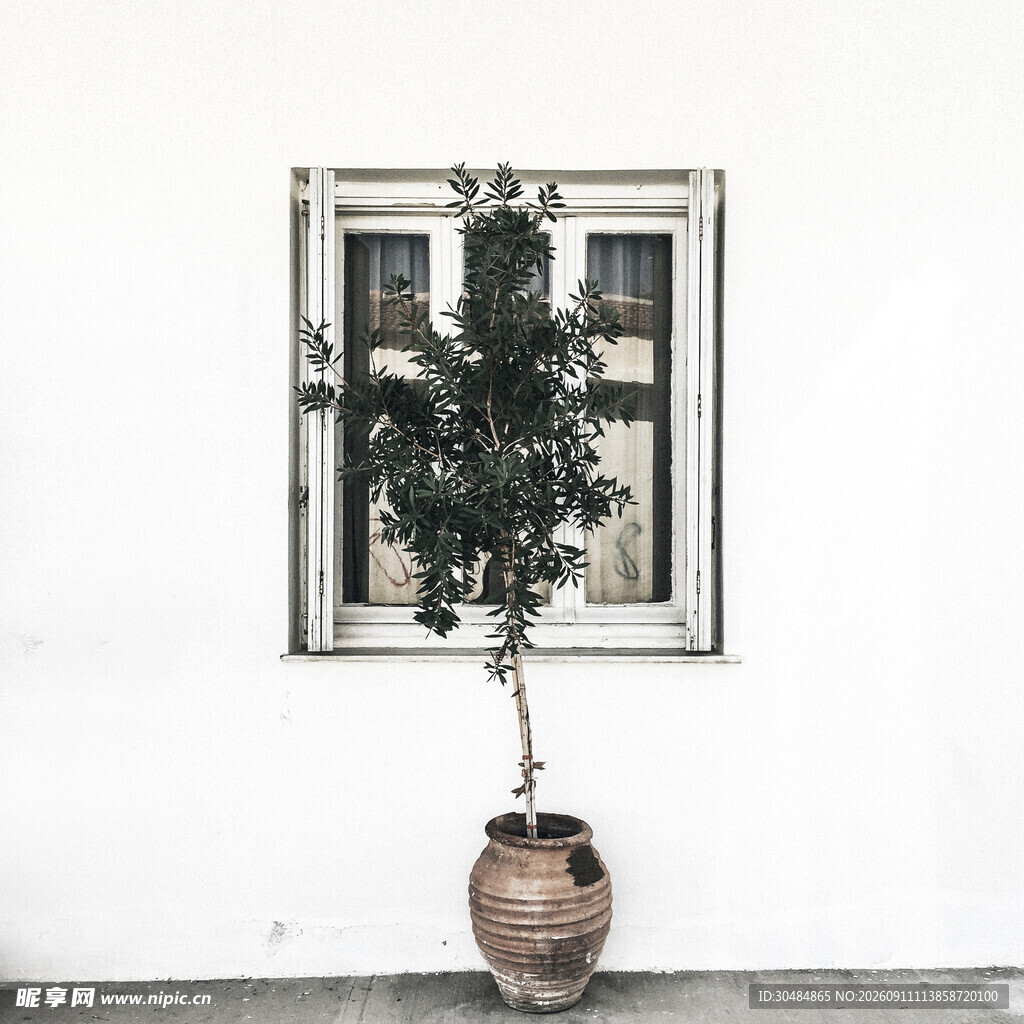 窗边陶罐绿植简约景致