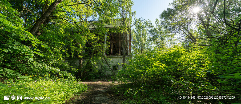 林间幽径中的古朴小屋