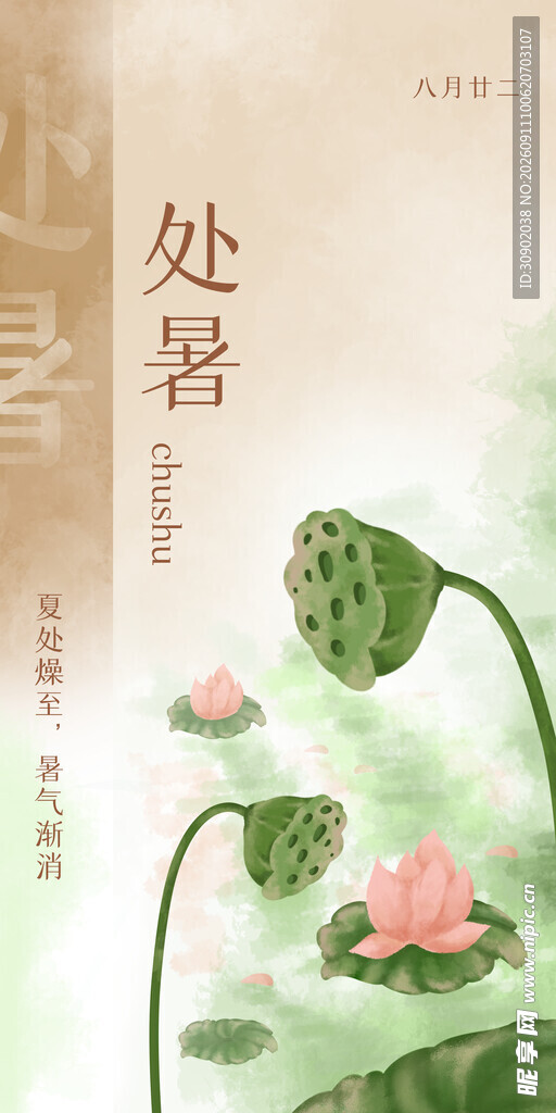 处暑时节的荷塘美景
