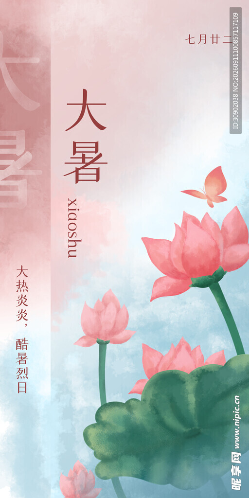 大暑时节绽放的美丽荷花