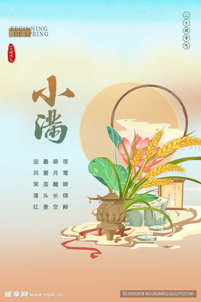 小满时节花卉插画
