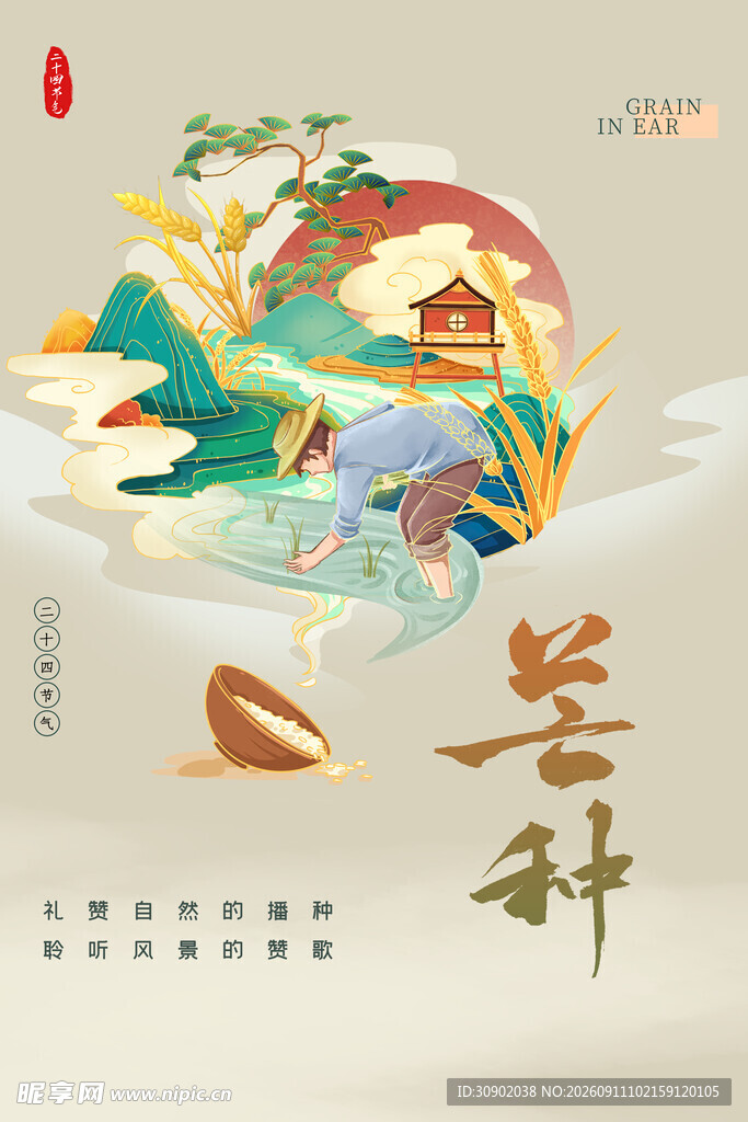 芒种时节插画