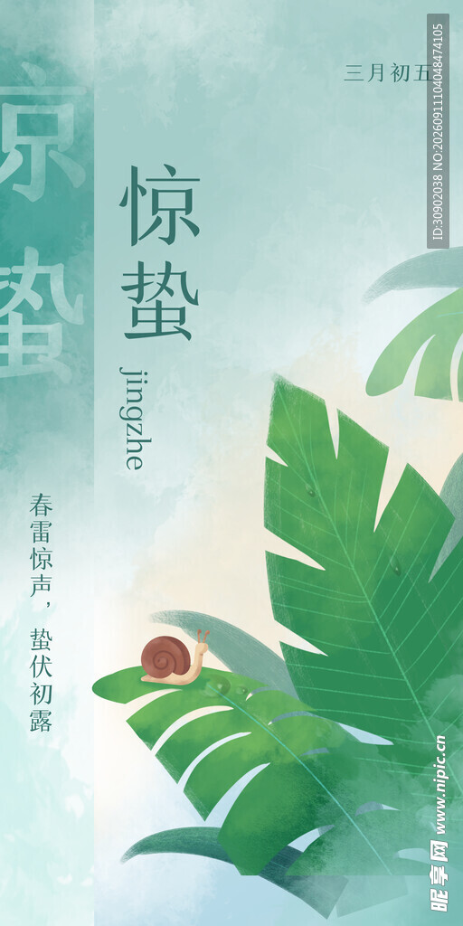 清新绿植间的一抹红