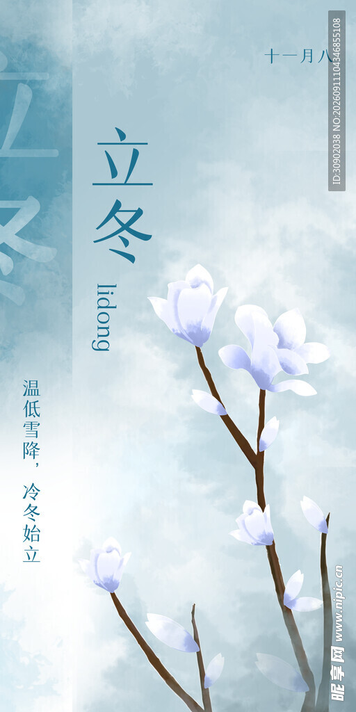 立冬时节的素雅花卉景象