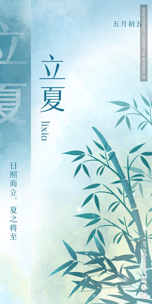 立夏时节清新翠竹图景