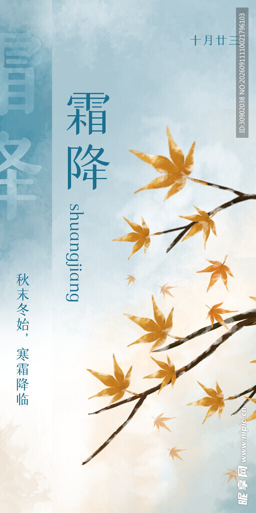 霜降时节的金黄枫叶