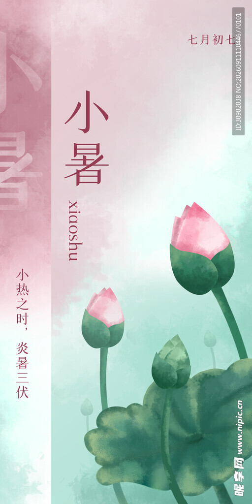 小暑时节的粉嫩荷花