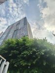 高楼耸立绿树相伴