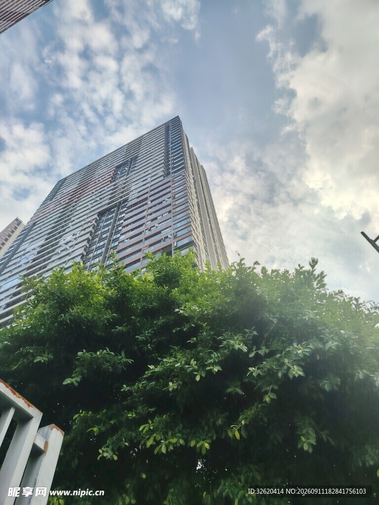 高楼耸立绿树相伴