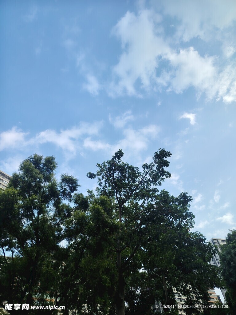 蓝天绿树风景图