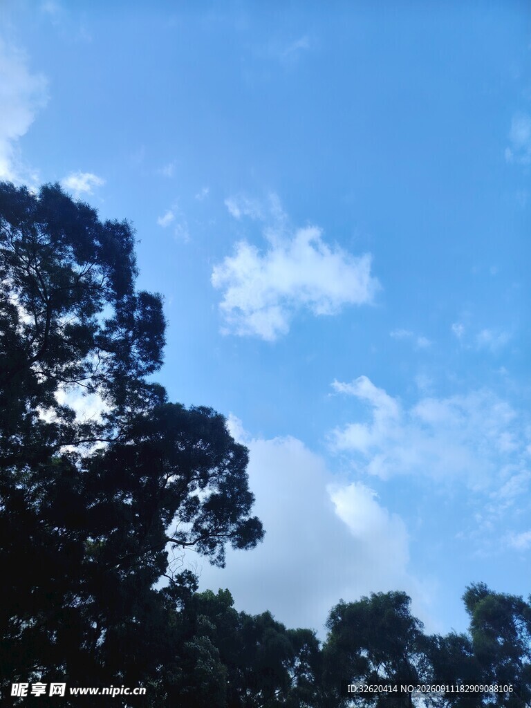 蓝天绿树间的清新景致