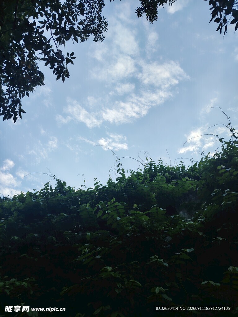 林间上空的蓝天白云