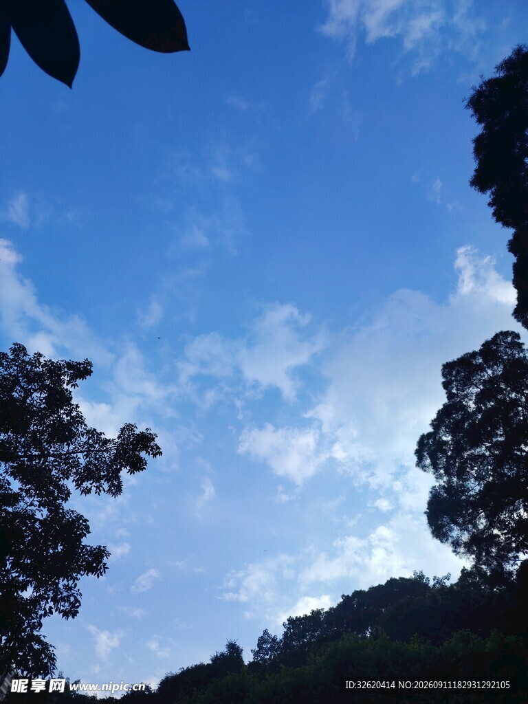 蓝天绿树间的自然景致