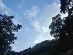 蓝天绿树间的自然景致