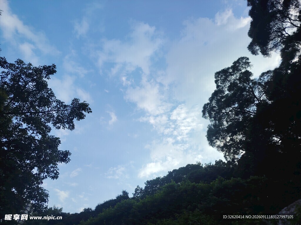 蓝天绿树间的自然景致