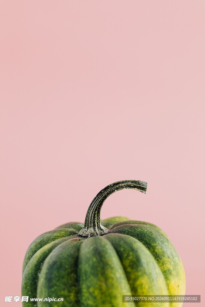 绿皮南瓜特写