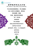 肩带理疗
