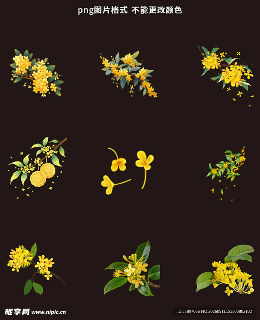 桂花素材