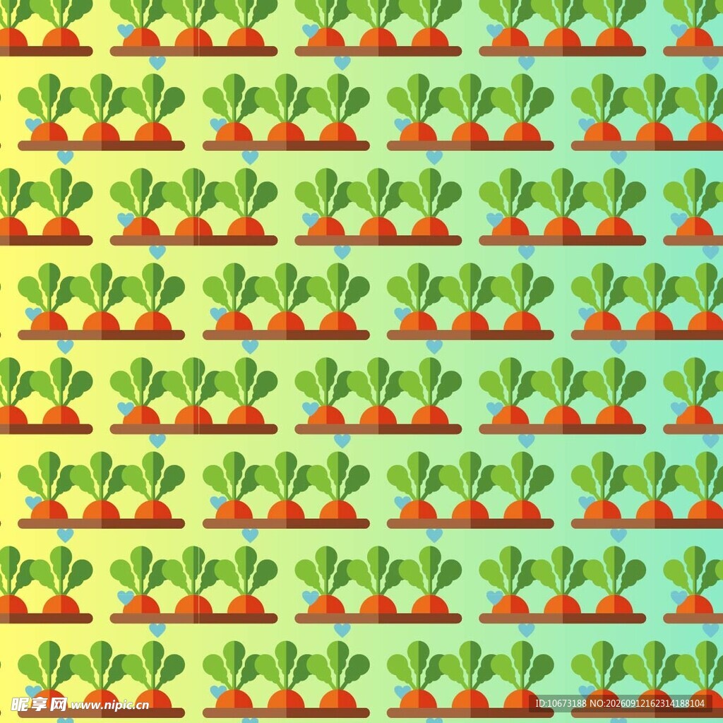 整齐排列的胡萝卜种植图案