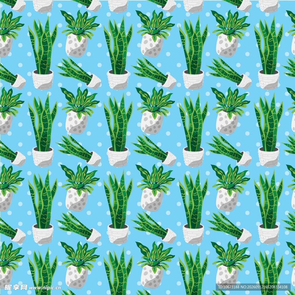 蓝色背景的绿植盆栽图案