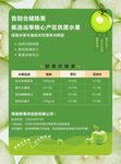 绿色有机水果价格一览表