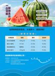 夏日西瓜营养成分对比表