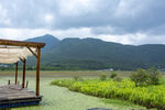 山景湿地