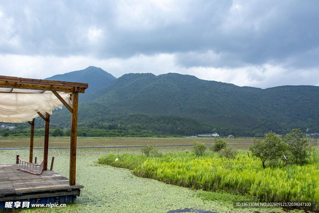 山景湿地