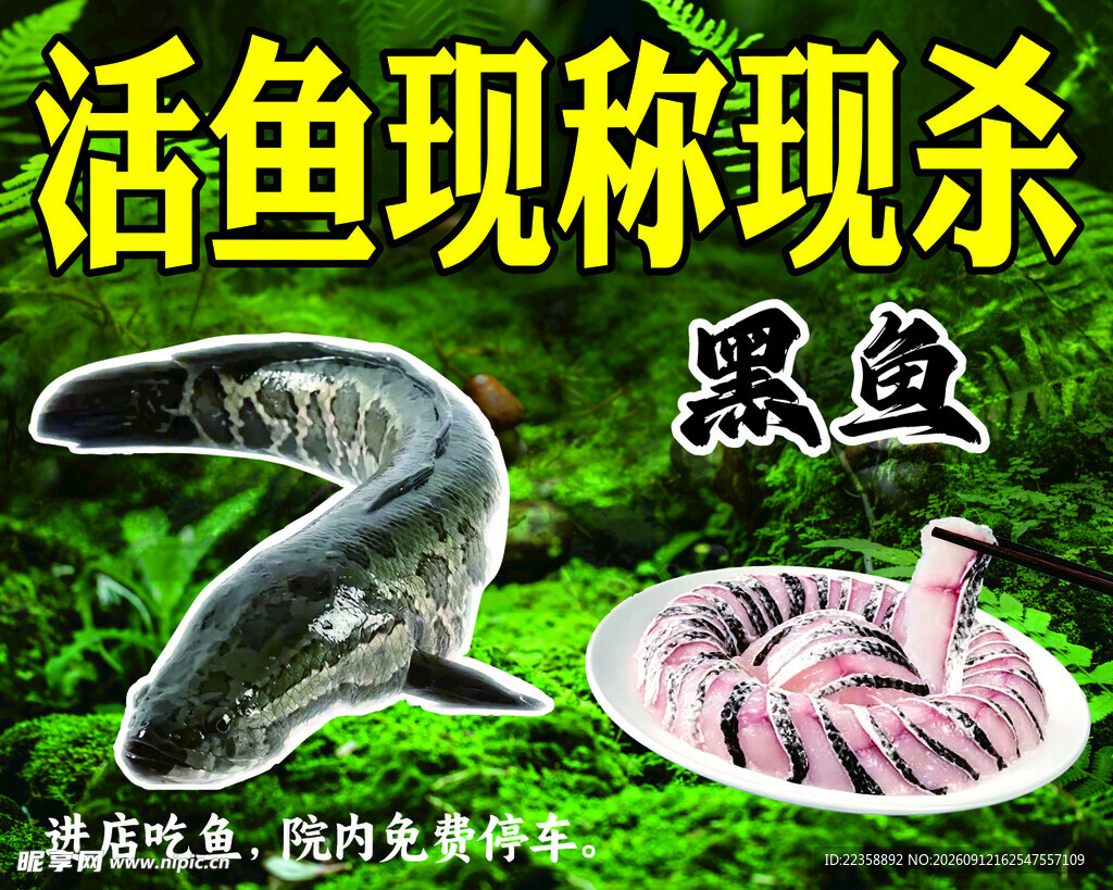 黑鱼