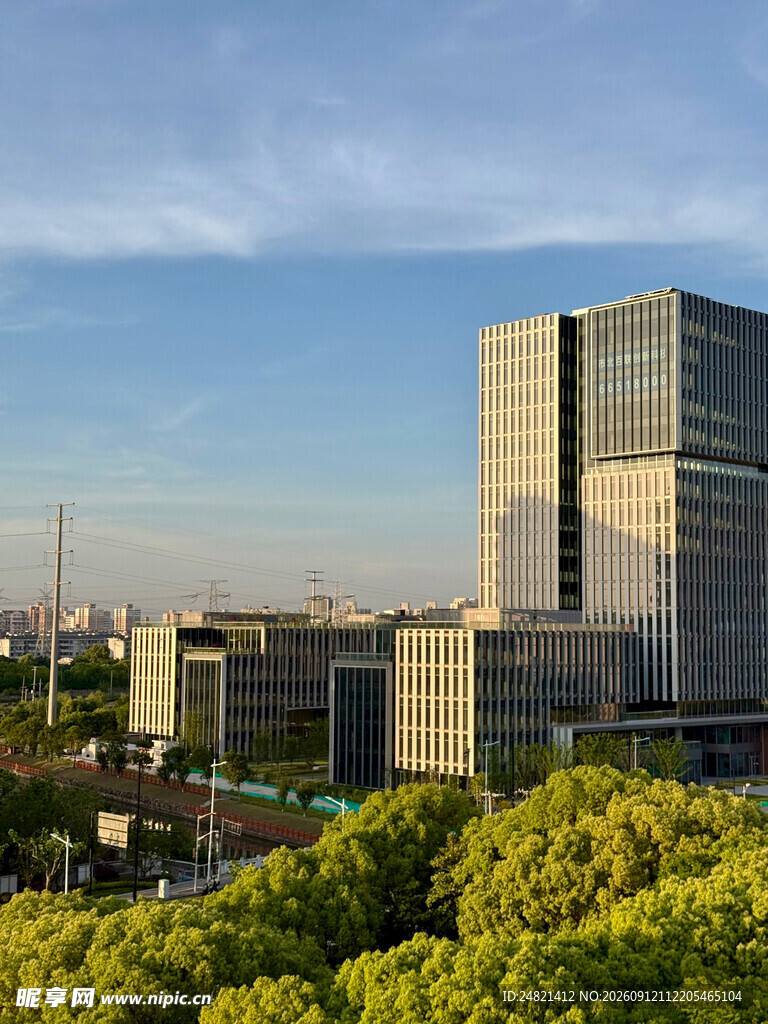 城市中高楼与葱郁绿树景观