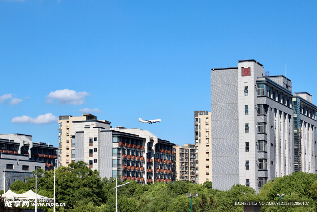 城市高楼与绿树景观