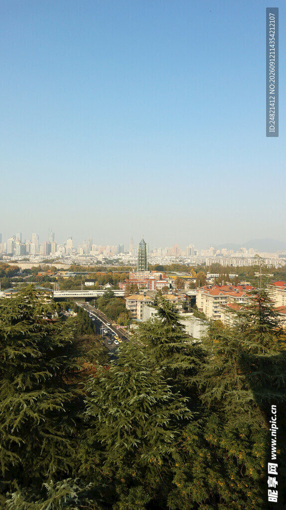 城市远景与茂密树林景观