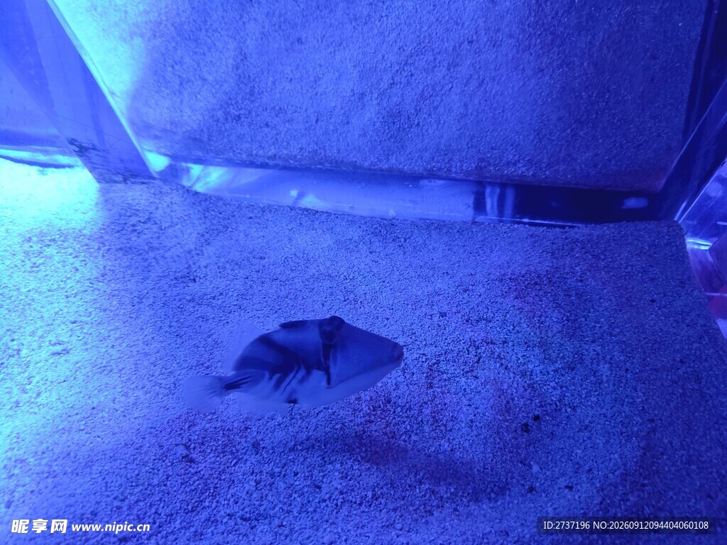水族馆