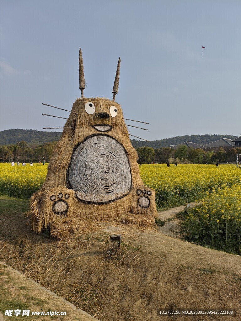 田野