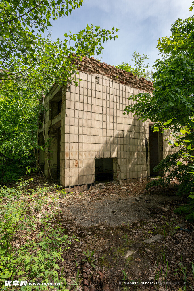 荒废小屋隐于葱郁草木间