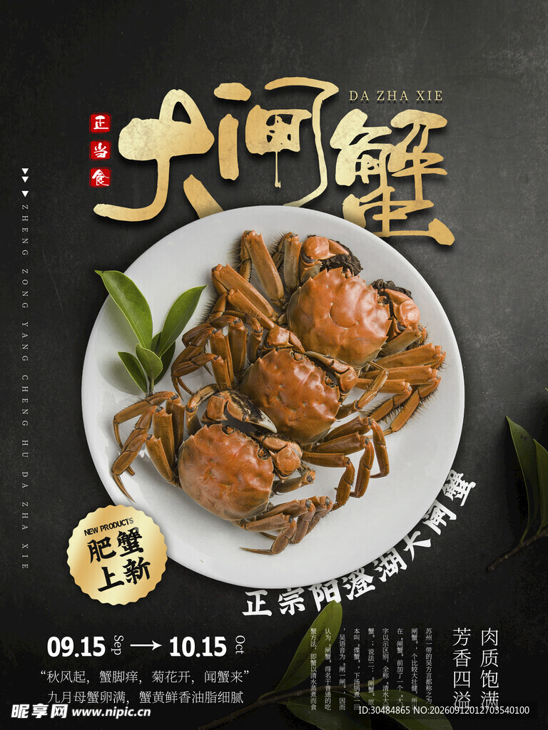 美味大闸蟹