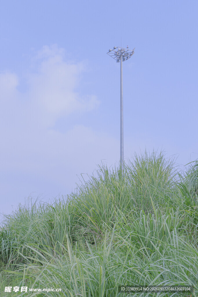 草地中的高耸照明灯