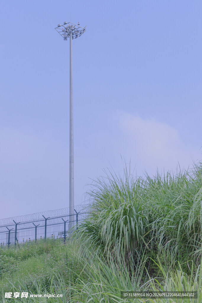 高杆灯矗立在绿植旁