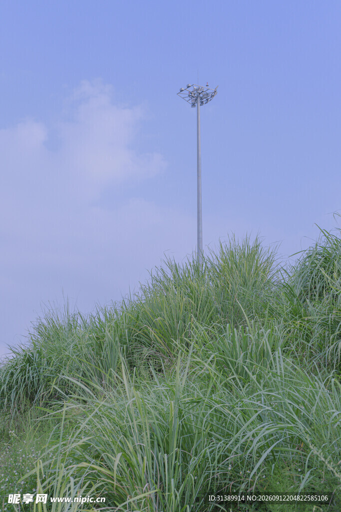 草地上的路灯