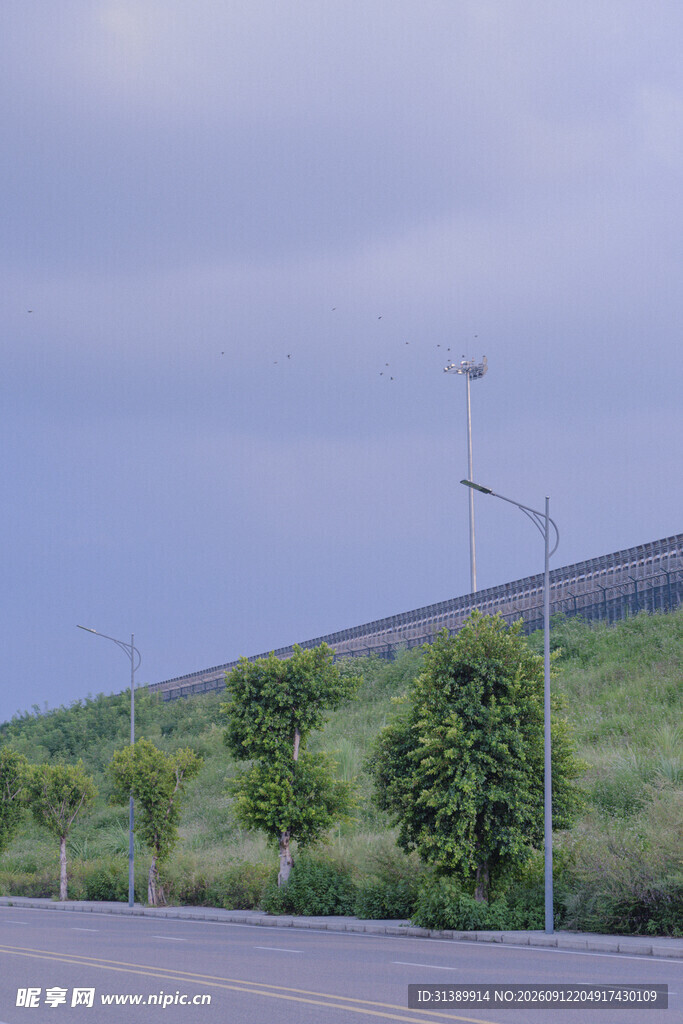 公路旁绿意盎然的风景