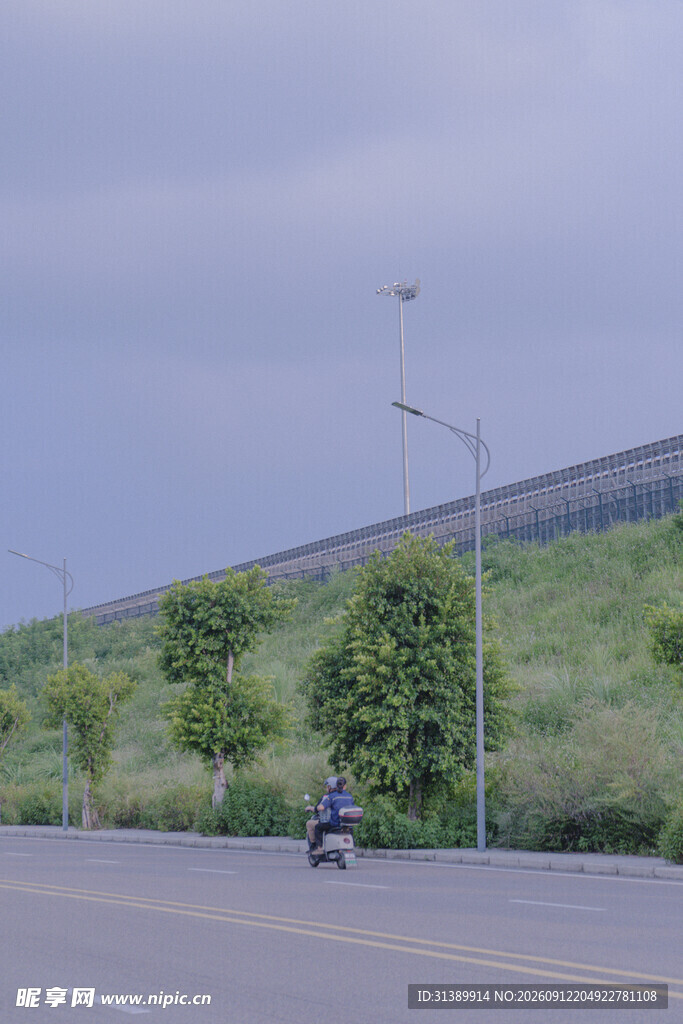 公路旁绿意盎然的骑行场景