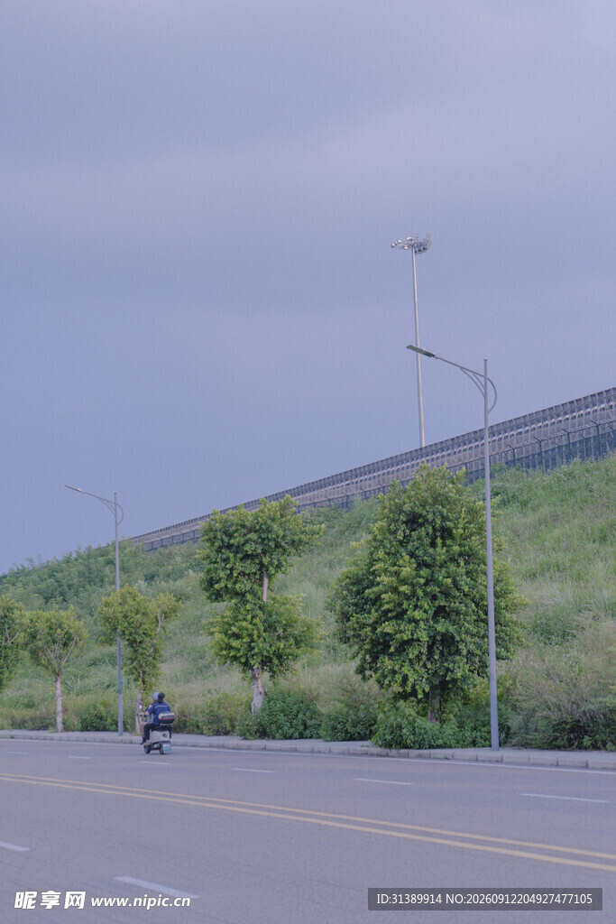 公路旁绿树边一人骑行