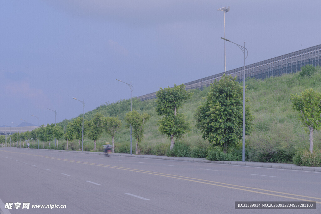 宽阔公路旁的绿树景观