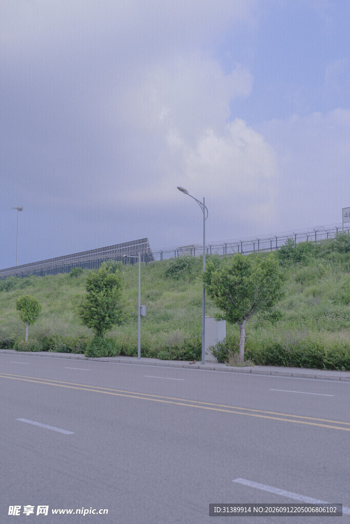 公路旁绿意盎然的风景