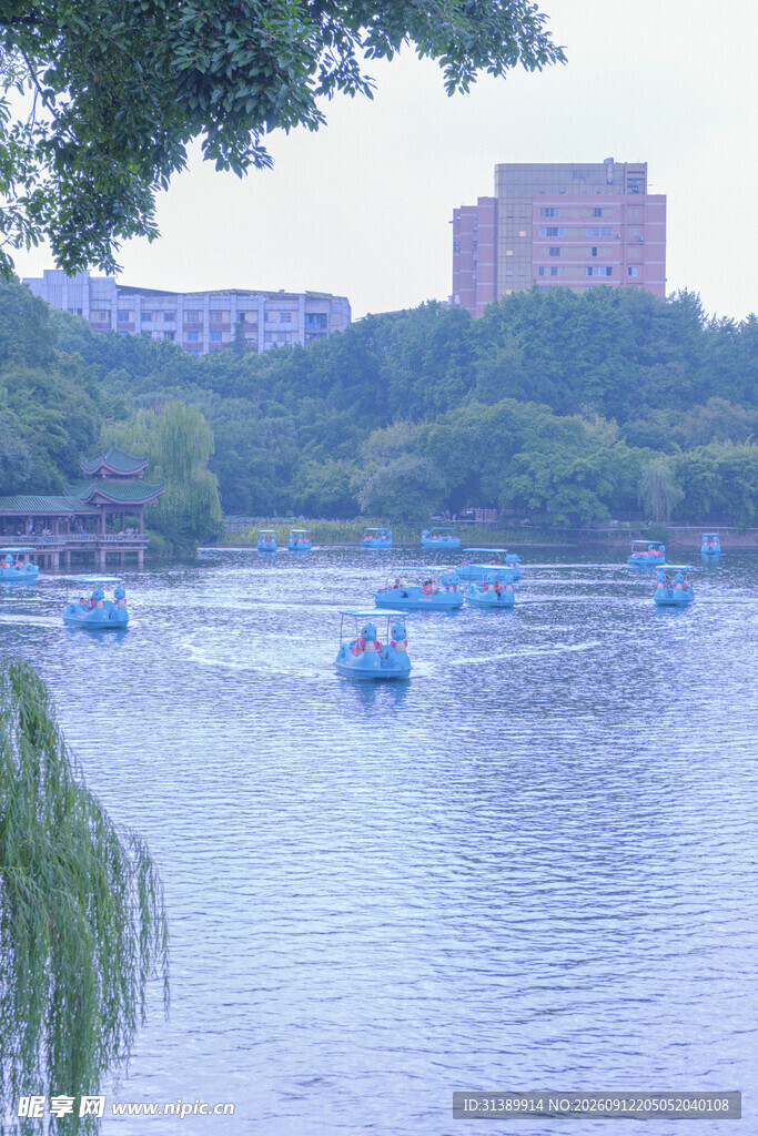 湖畔游船景