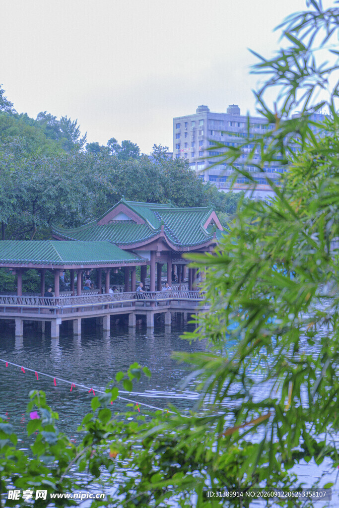 中式廊桥伴绿树映湖景