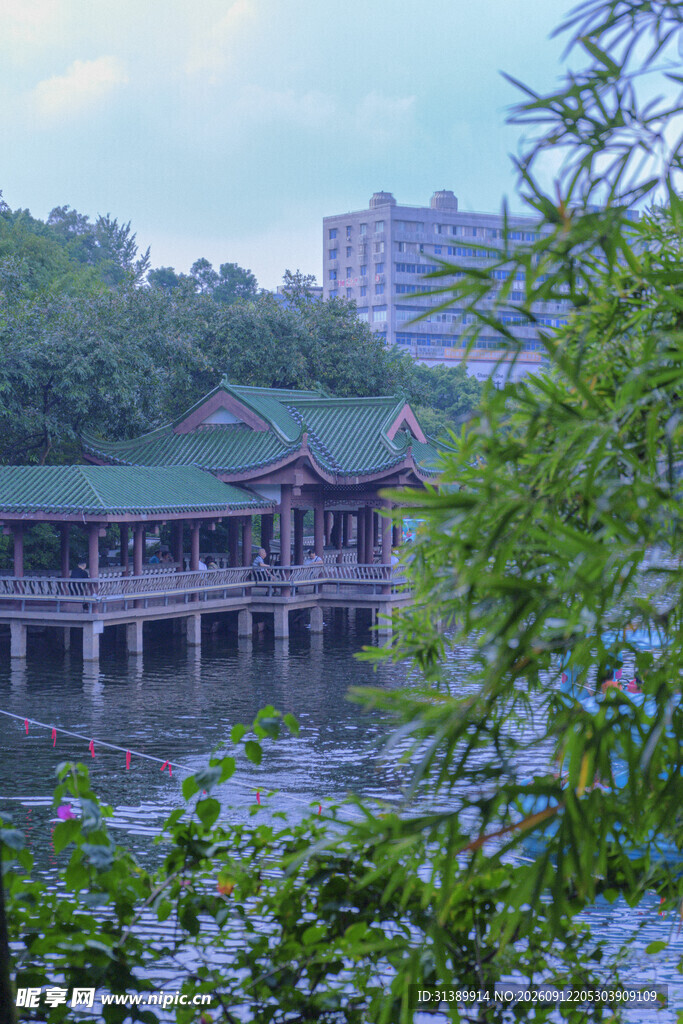 河畔古桥旁的绿意景致